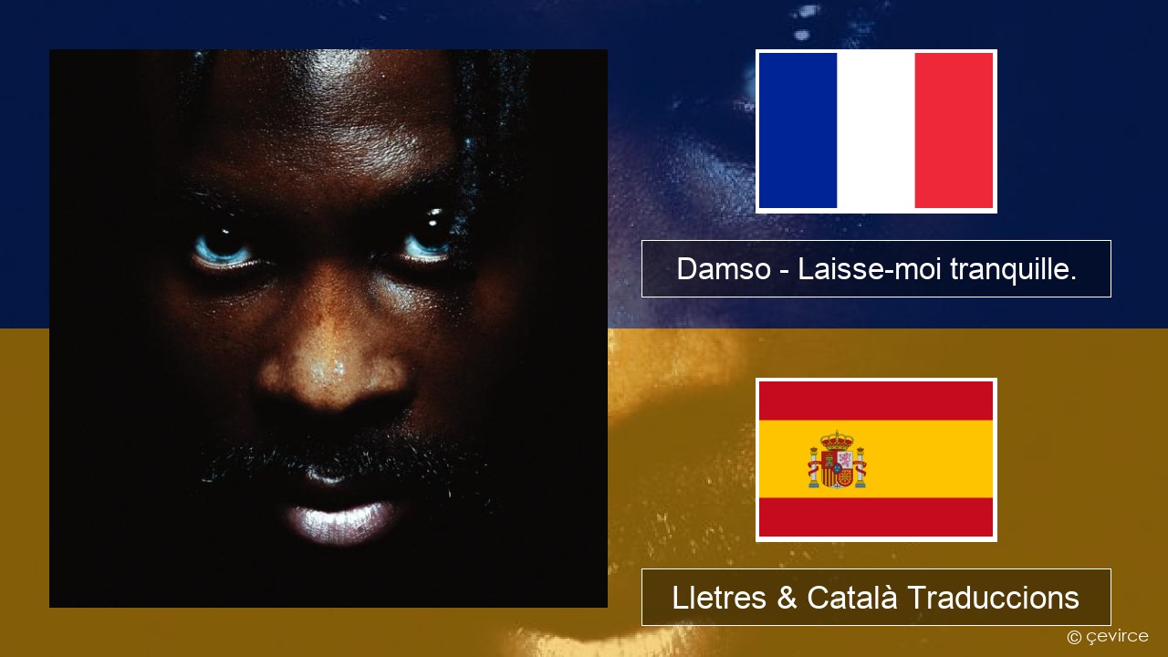 Damso – Laisse-moi tranquille. Francès Lletres & Català Traduccions