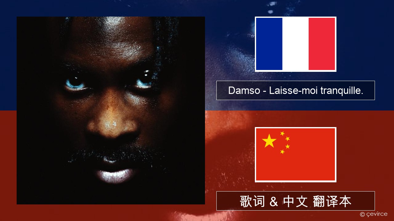 Damso – Laisse-moi tranquille. 法语 歌词 & 中文 翻译本