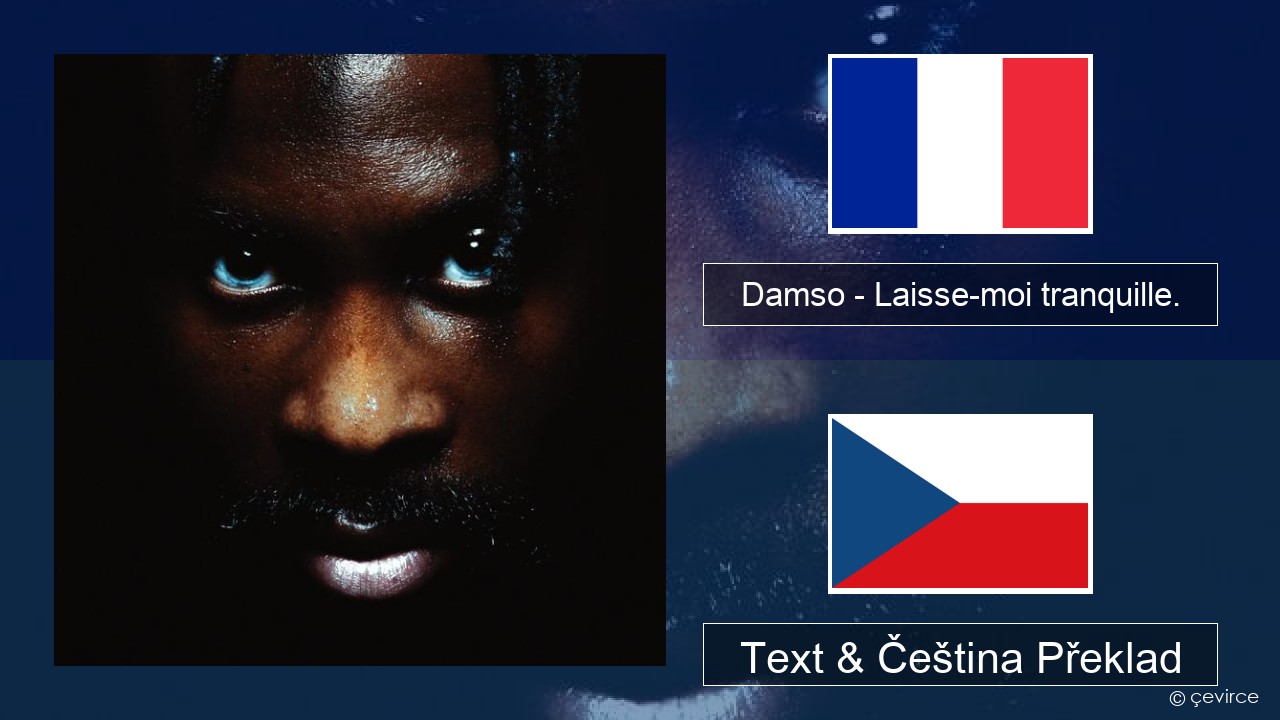 Damso – Laisse-moi tranquille. Francouzský Text & Čeština Překlad