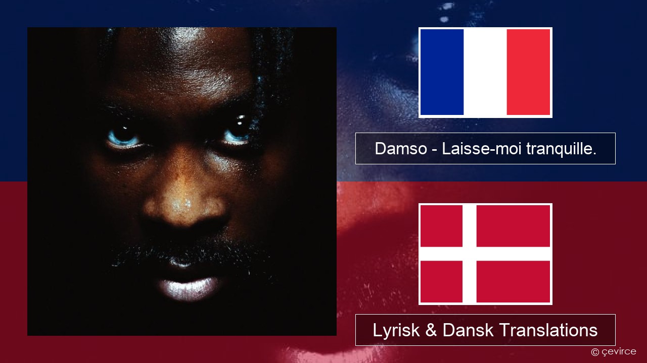 Damso – Laisse-moi tranquille. Fransk Lyrisk & Dansk Translations