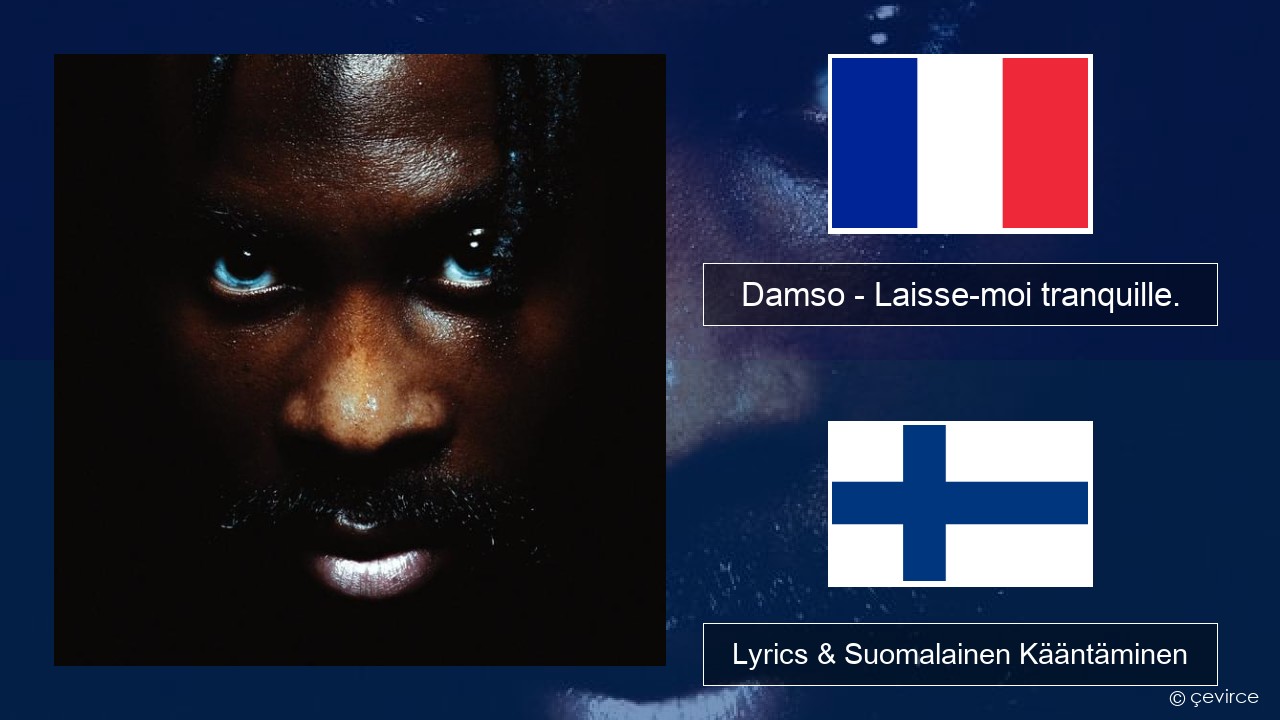 Damso – Laisse-moi tranquille. Ranska Lyrics & Suomalainen Kääntäminen