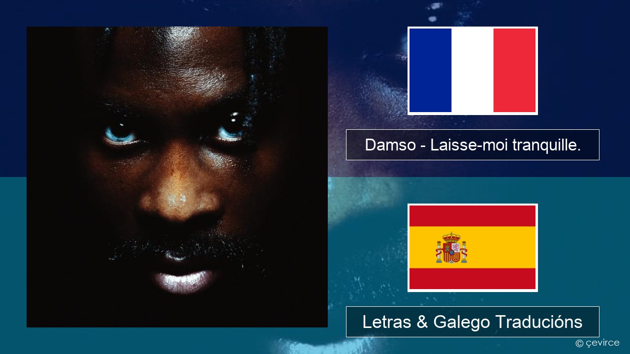 Damso – Laisse-moi tranquille. Francés Letras & Galego Traducións