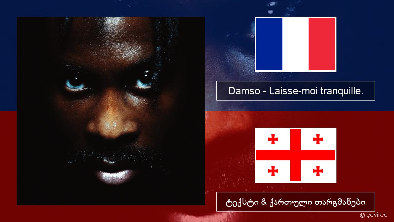 Damso – Laisse-moi tranquille. ფრანგული ტექსტი & ქართული თარგმანები