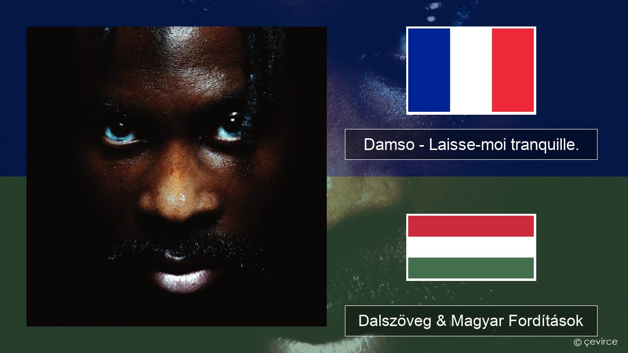 Damso – Laisse-moi tranquille. Francia Dalszöveg & Magyar Fordítások