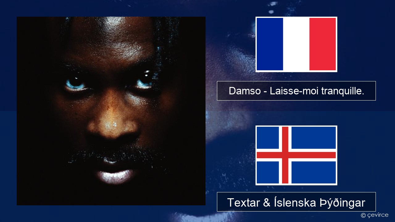 Damso – Laisse-moi tranquille. Franska Textar & Íslenska Þýðingar