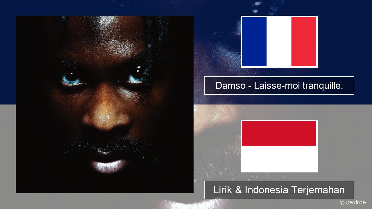 Damso – Laisse-moi tranquille. Prancis Lirik & Indonesia Terjemahan