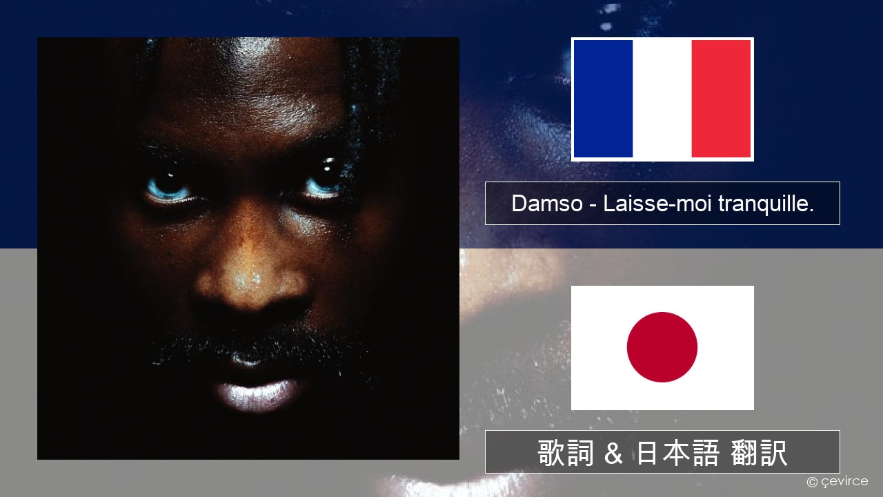 Damso – Laisse-moi tranquille. フランス語 歌詞 & 日本語 翻訳