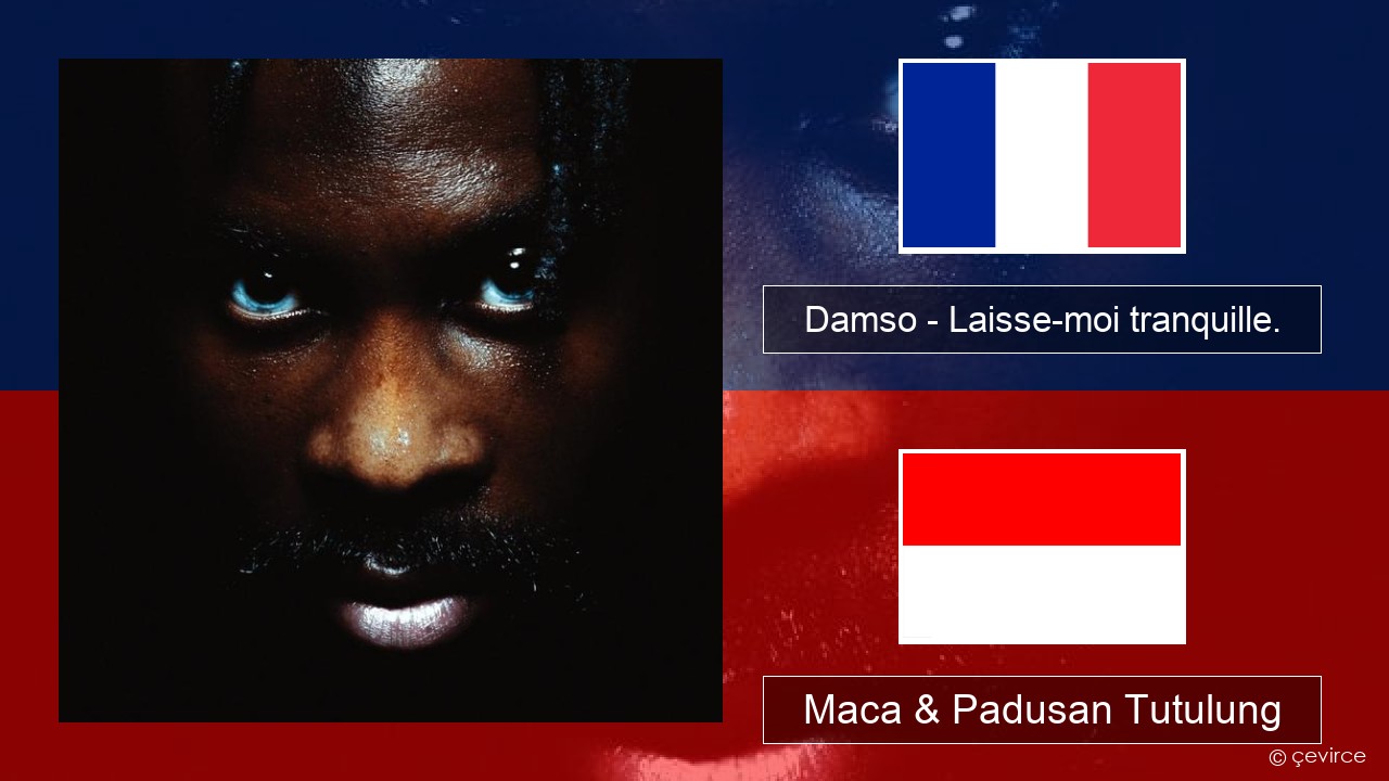 Damso – Laisse-moi tranquille. Prancis Maca & Padusan Tutulung