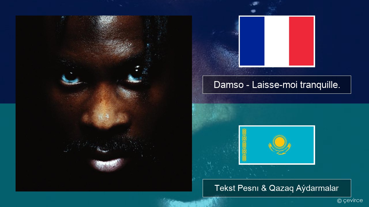 Damso – Laisse-moi tranquille. Fransýz Tekst Pesnı & Qazaq (latyn) Aýdarmalar