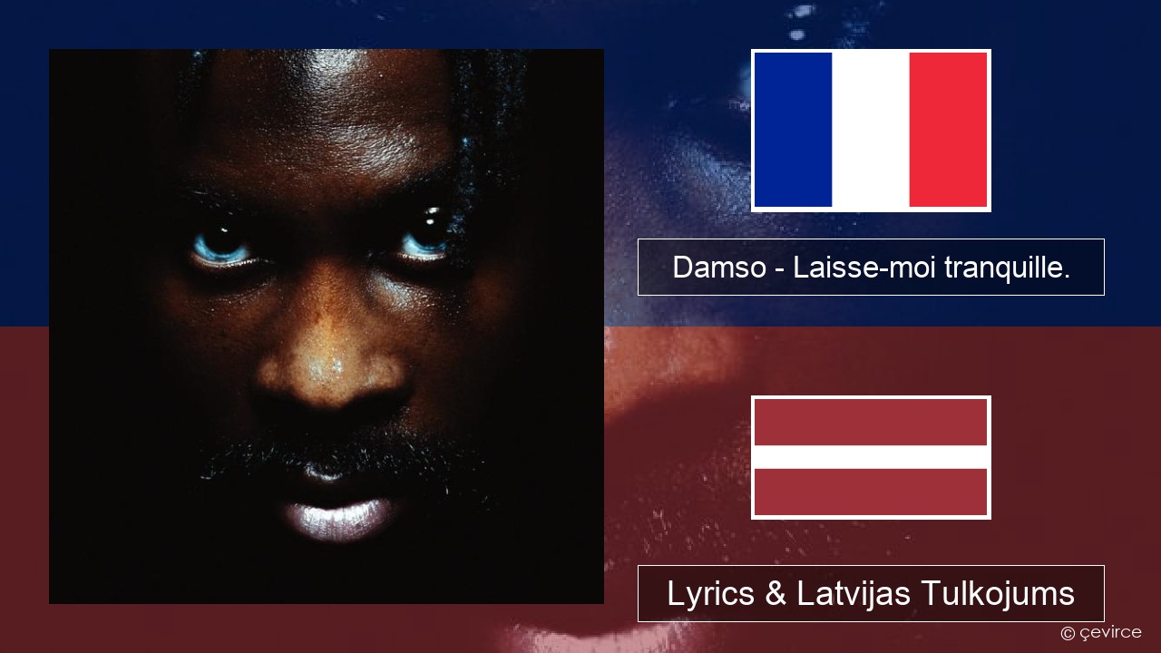 Damso – Laisse-moi tranquille. Franču Lyrics & Latvijas Tulkojums