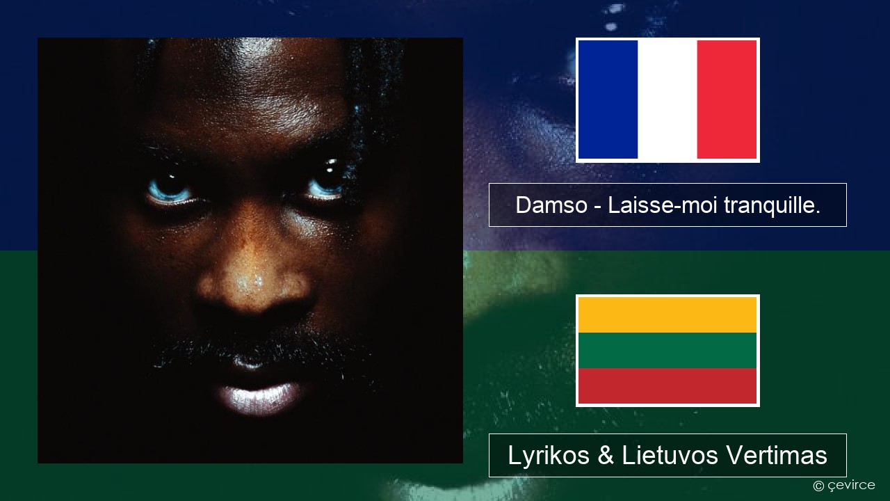 Damso – Laisse-moi tranquille. Prancūzijos Lyrikos & Lietuvos Vertimas