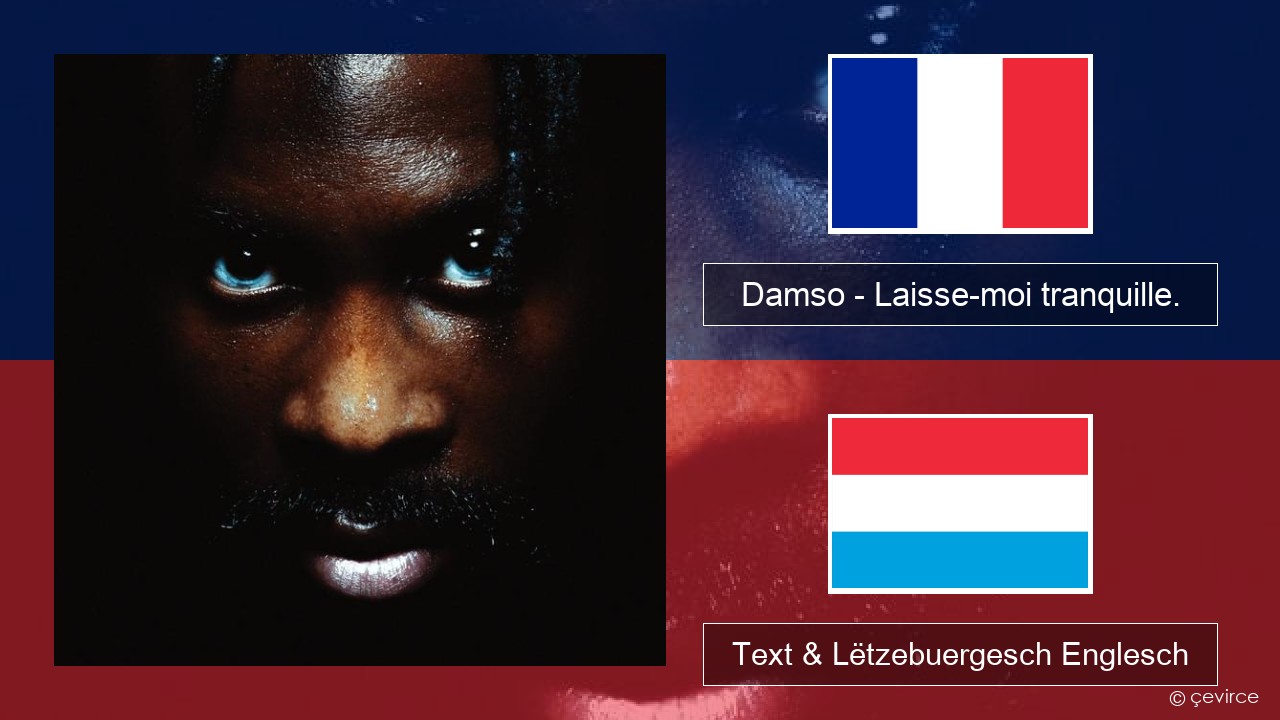 Damso – Laisse-moi tranquille. Franséisch Text & Lëtzebuergesch Englesch