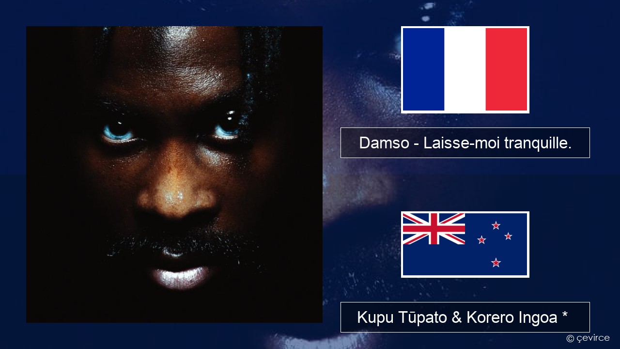 Damso – Laisse-moi tranquille. Ingoa *  Kupu Tūpato & Korero Ingoa *