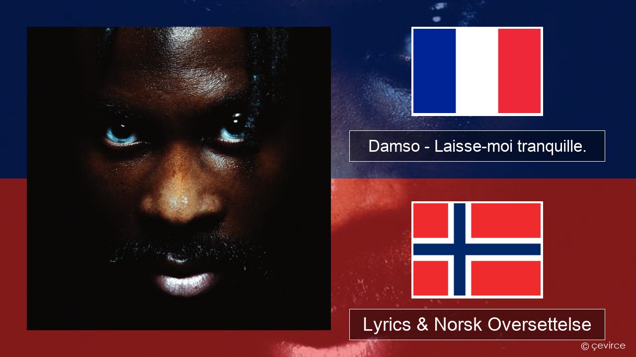 Damso – Laisse-moi tranquille. Fransk Lyrics & Norsk Oversettelse