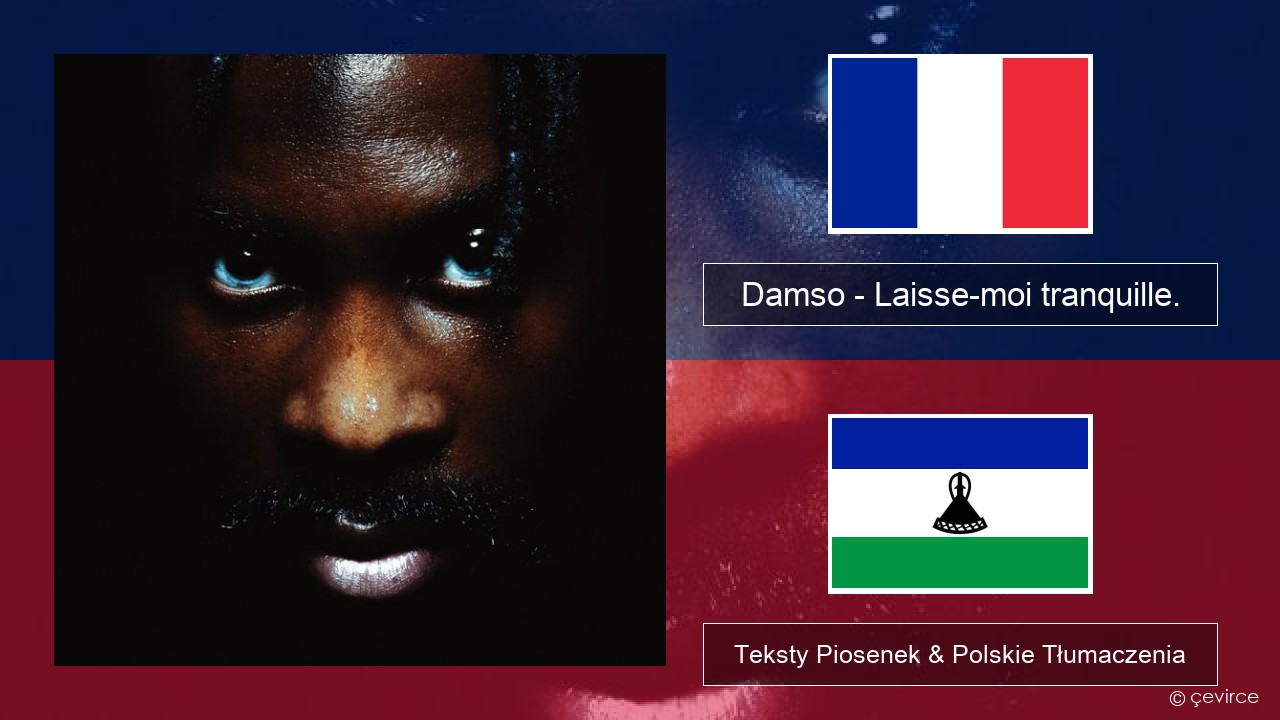 Damso – Laisse-moi tranquille. Francuski Teksty Piosenek & Polskie Tłumaczenia