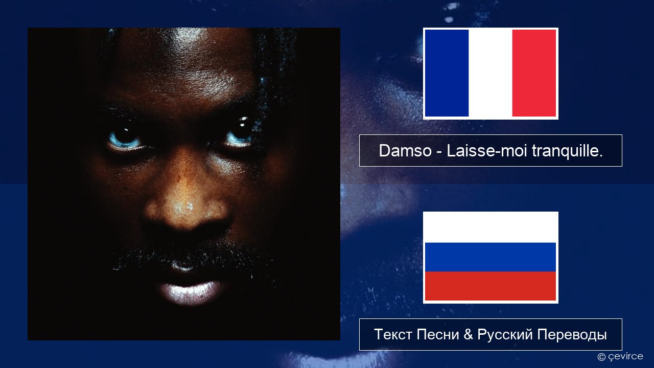 Damso – Laisse-moi tranquille. Французский Текст Песни & Русский Переводы