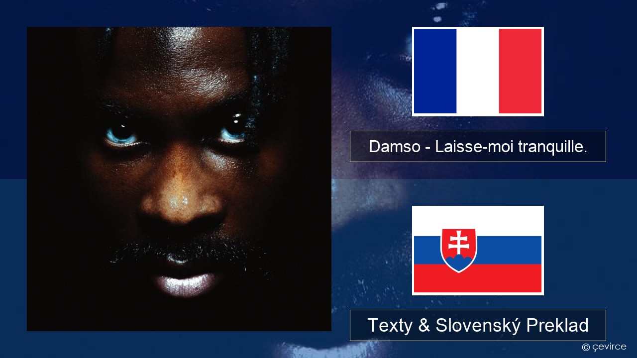 Damso – Laisse-moi tranquille. Francúzsky Texty & Slovenský Preklad