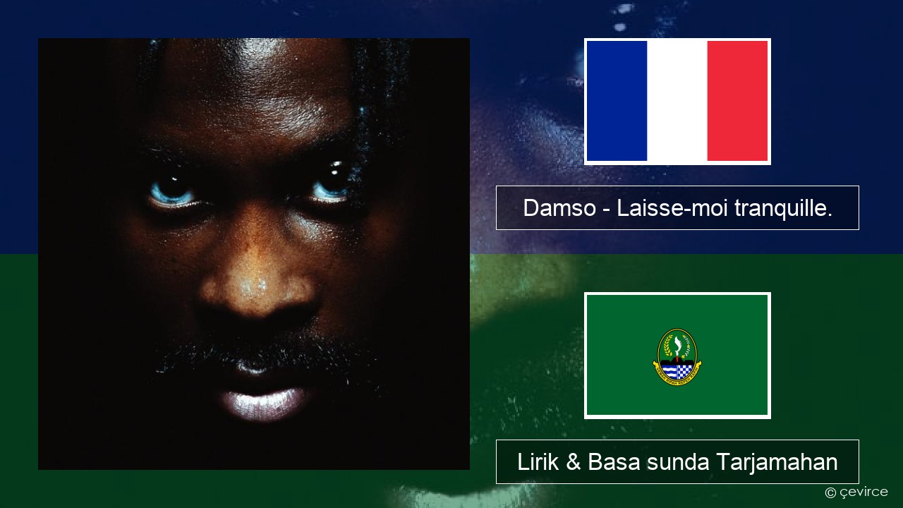 Damso – Laisse-moi tranquille. Perancis Lirik & Basa sunda Tarjamahan