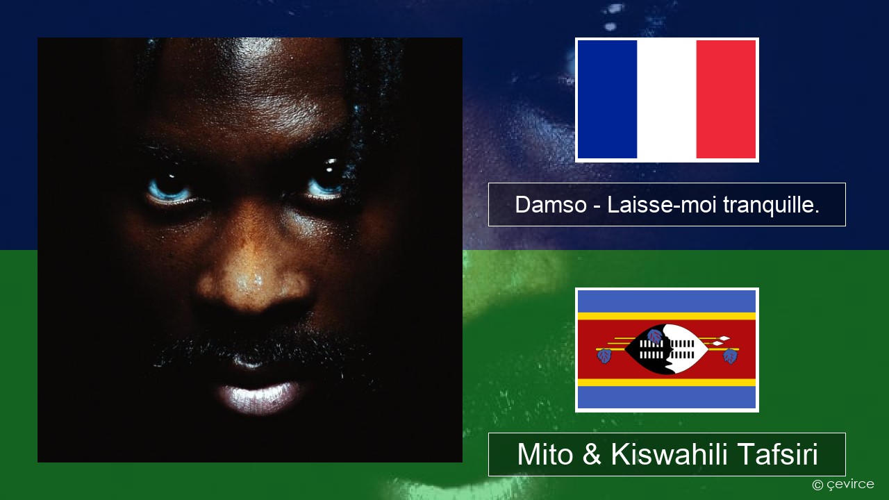 Damso – Laisse-moi tranquille. Kifaransa Mito & Kiswahili Tafsiri