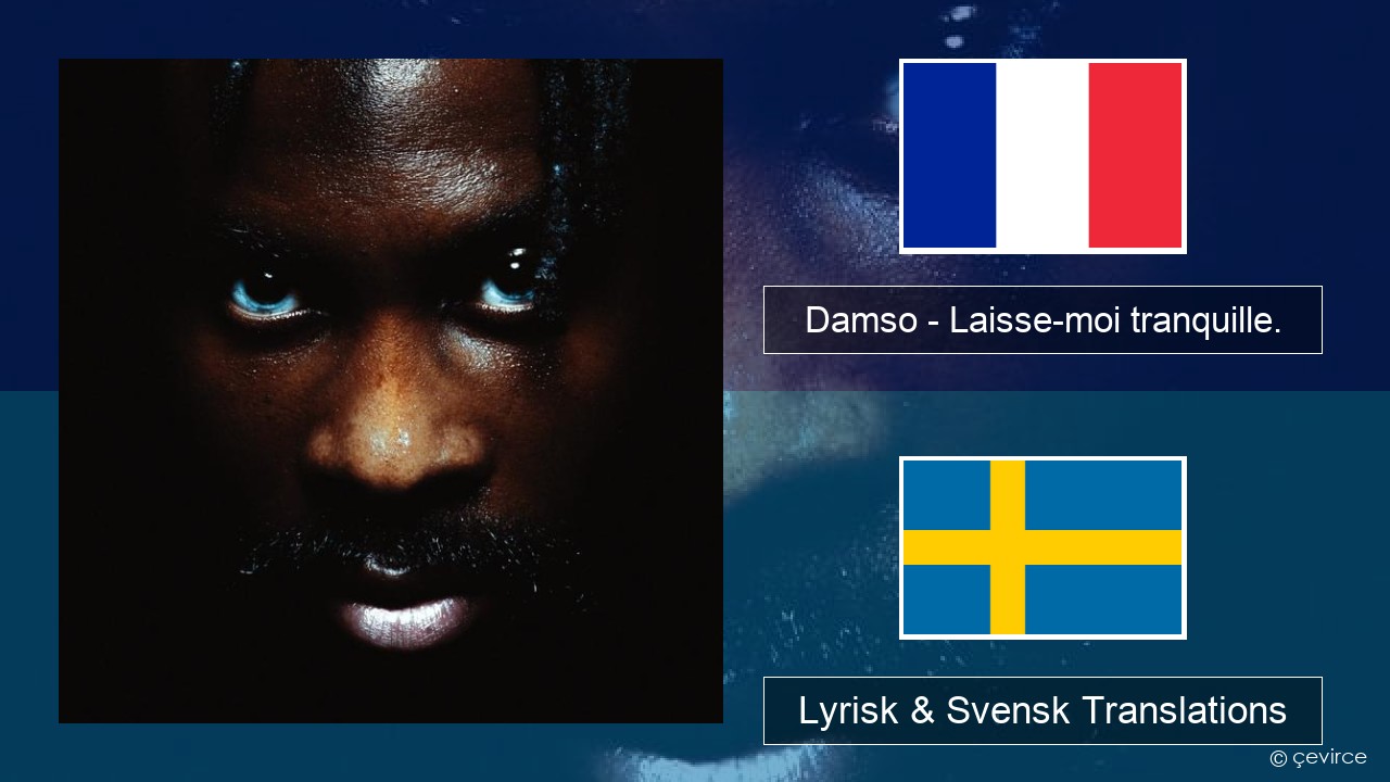 Damso – Laisse-moi tranquille. Fransk Lyrisk & Svensk Translations