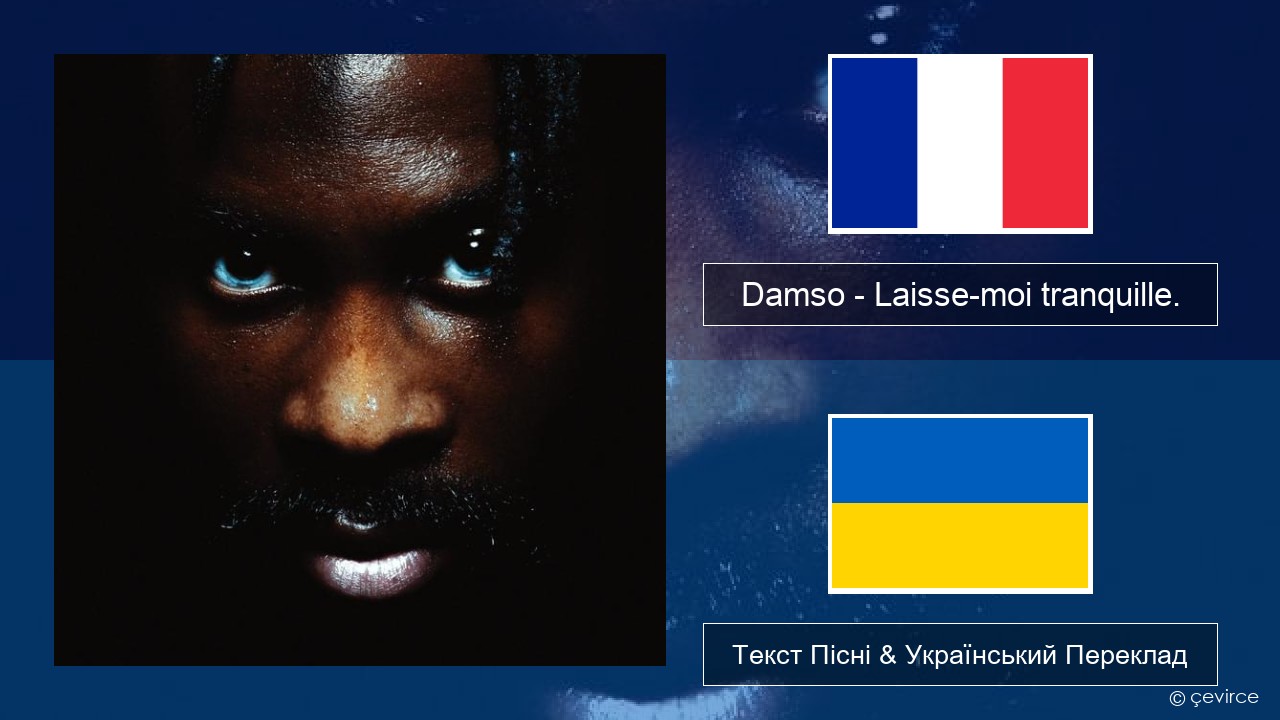 Damso – Laisse-moi tranquille. Французький Текст Пісні & Український Переклад