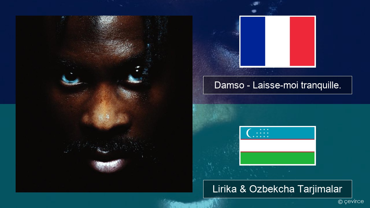 Damso – Laisse-moi tranquille. Fransuzcha Lirika & Ozbekcha Tarjimalar