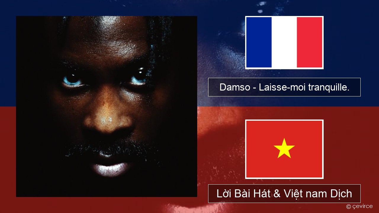 Damso – Laisse-moi tranquille. Pháp, Lời Bài Hát & Việt nam Dịch