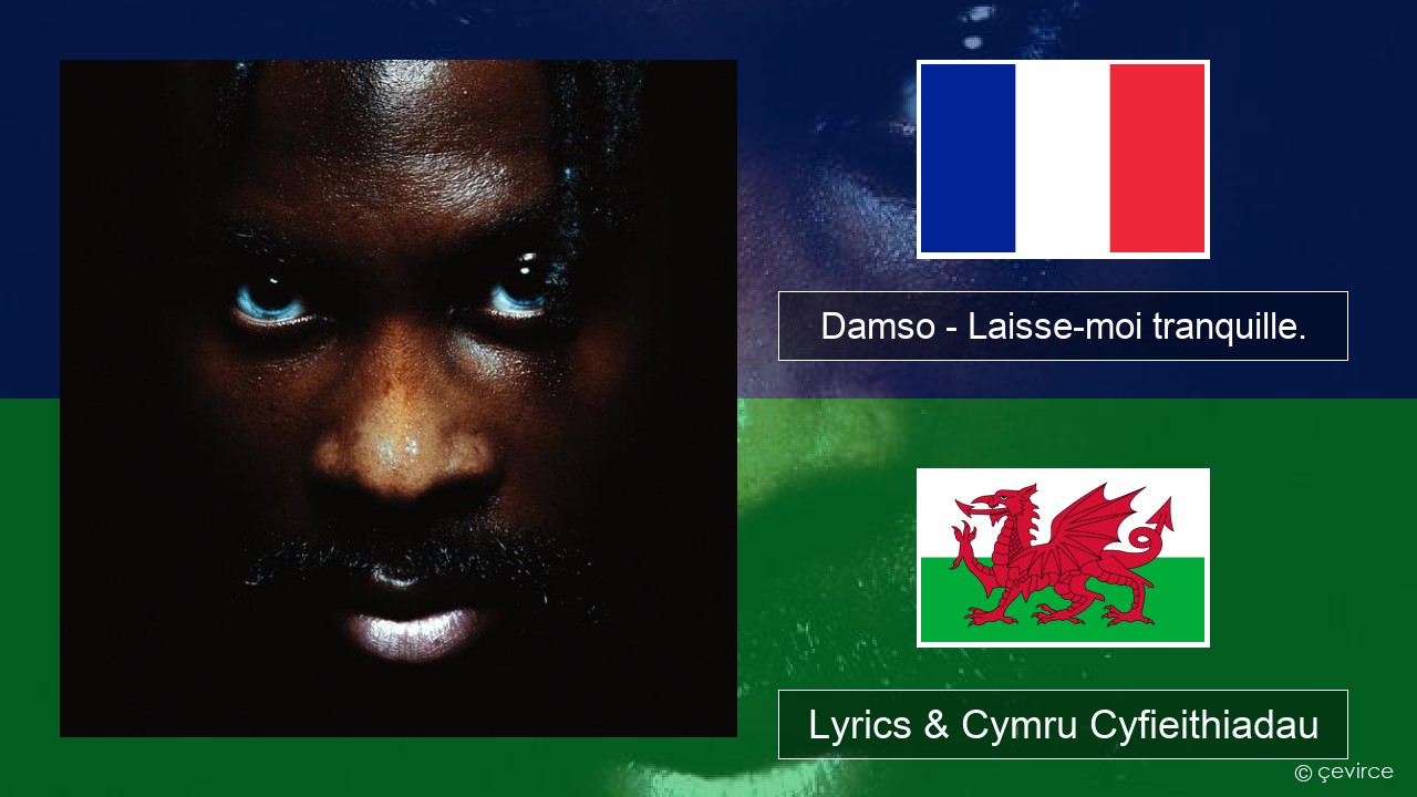 Damso – Laisse-moi tranquille. Ffrangeg Lyrics & Cymru Cyfieithiadau