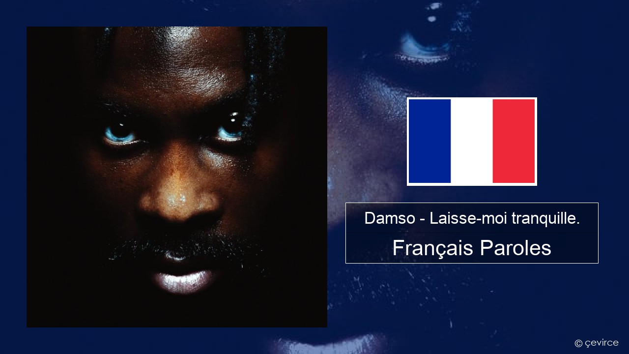 Damso – Laisse-moi tranquille. Français Paroles