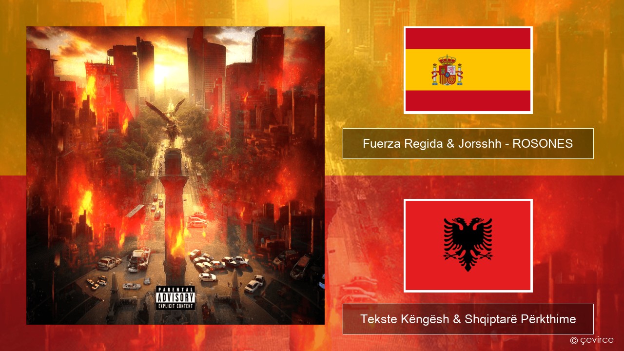 Fuerza Regida & Jorsshh – ROSONES Spanjollë Tekste Këngësh & Shqiptarë Përkthime