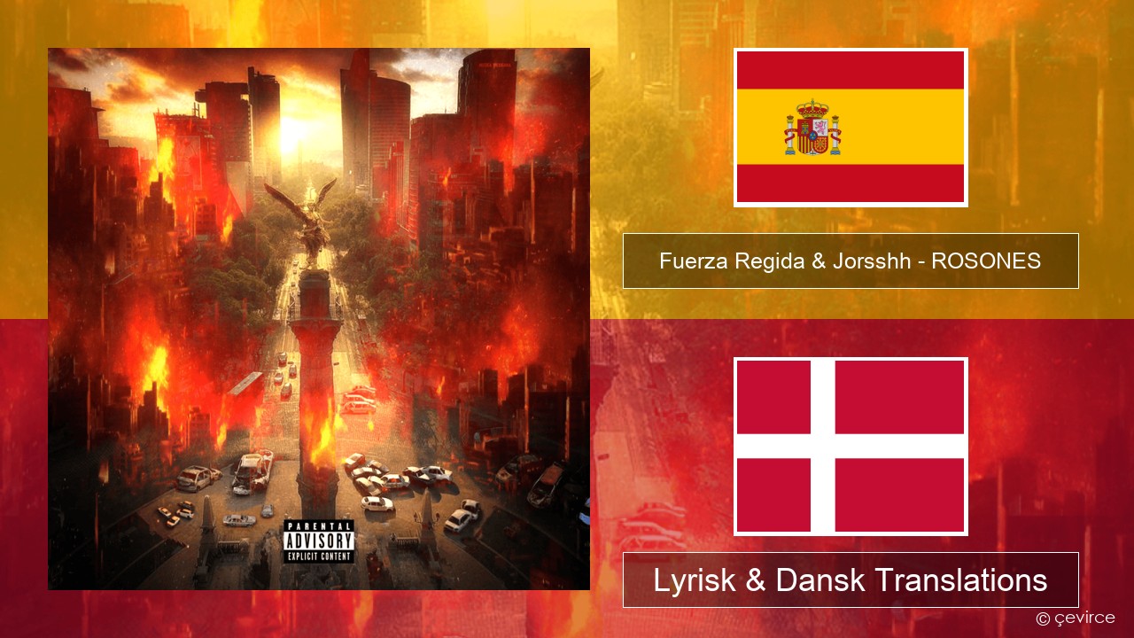 Fuerza Regida & Jorsshh – ROSONES Spansk Lyrisk & Dansk Translations