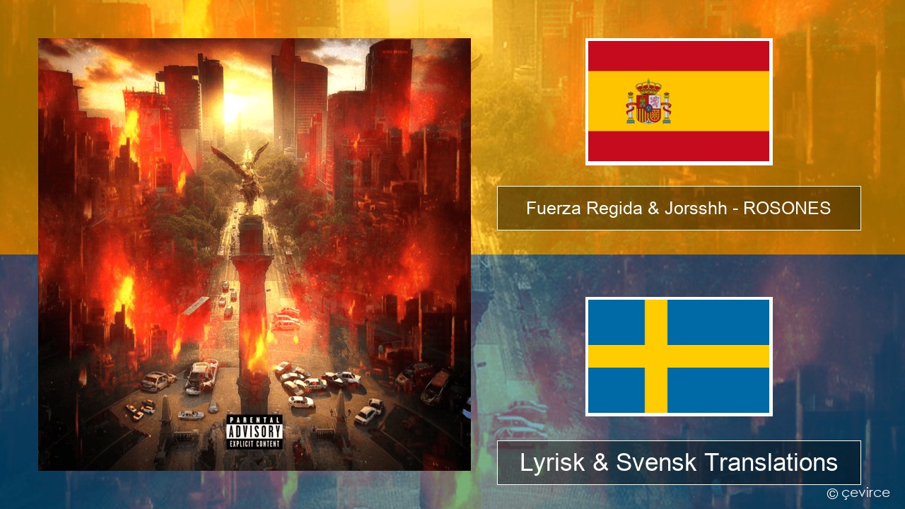 Fuerza Regida & Jorsshh – ROSONES Spansk Lyrisk & Svensk Translations