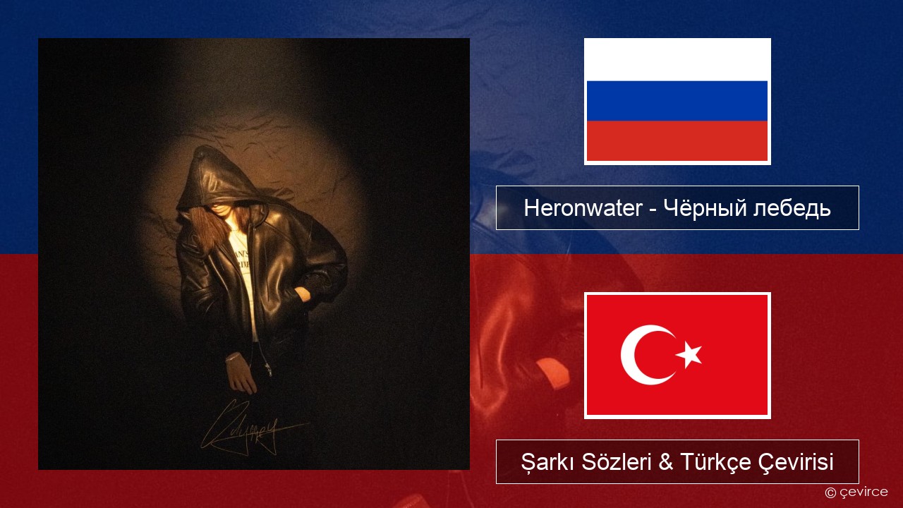 Heronwater – Чёрный лебедь (Black Swan) Rusça Şarkı Sözleri & Türkçe Çevirisi