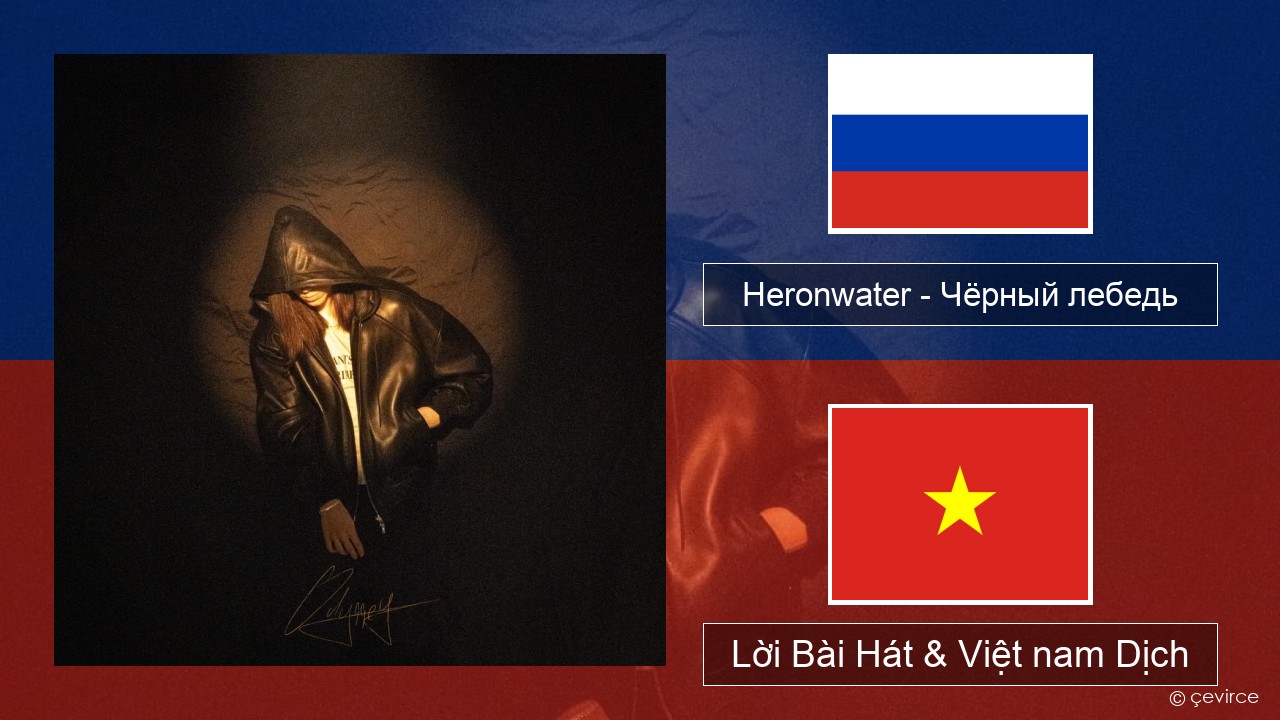 Heronwater – Чёрный лебедь (Black Swan) Nga Lời Bài Hát & Việt nam Dịch