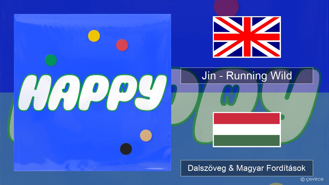 Jin (진) – Running Wild Magyar Dalszöveg & Magyar Fordítások