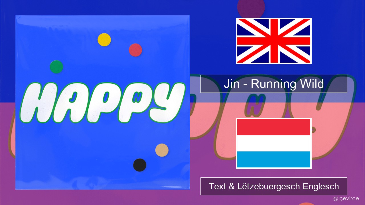 Jin (진) – Running Wild Englisch Text & Lëtzebuergesch Englesch