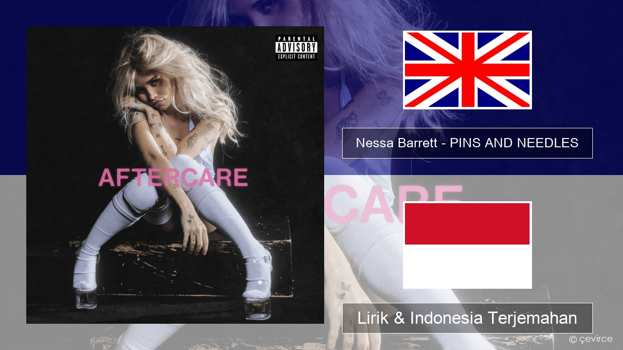 Nessa Barrett – PINS AND NEEDLES Bahasa Indonesia Lirik & Indonesia Terjemahan