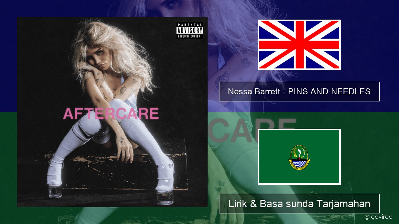 Nessa Barrett – PINS AND NEEDLES Basa inggris Lirik & Basa sunda Tarjamahan