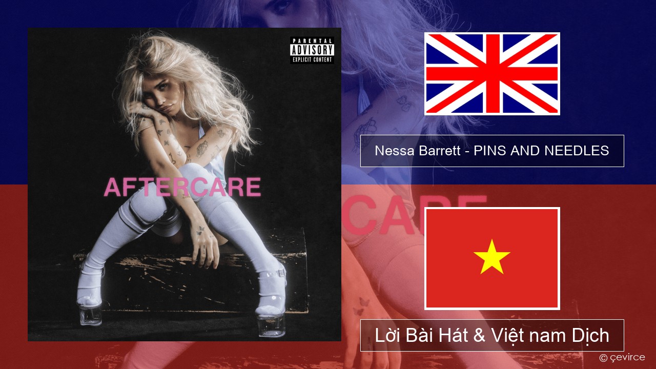 Nessa Barrett – PINS AND NEEDLES Tiếng anh Lời Bài Hát & Việt nam Dịch