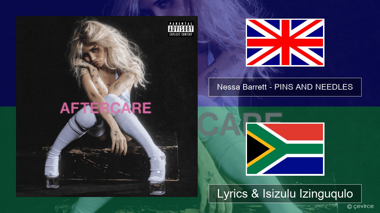 Nessa Barrett – PINS AND NEEDLES Isizulu Lyrics & Isizulu Izinguqulo