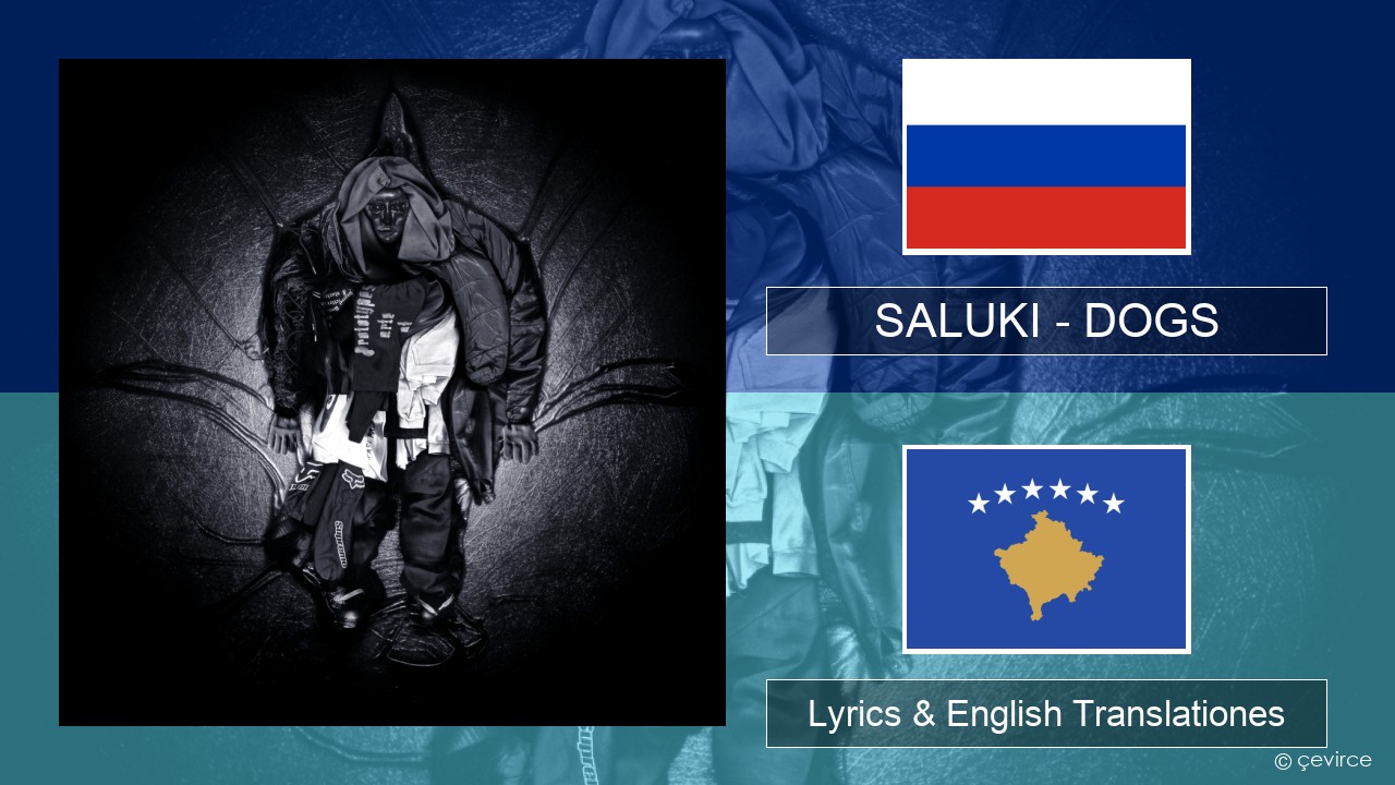 SALUKI – DOGS Russian Lyrics & English Translationes