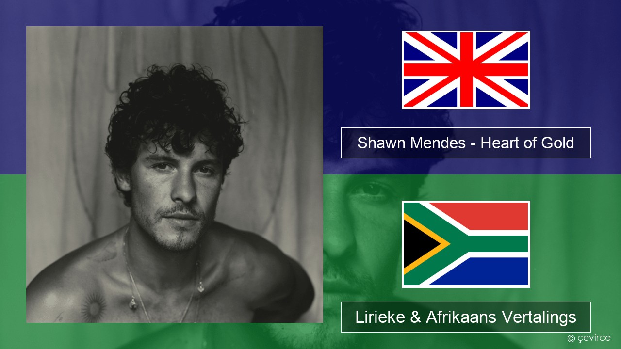 Shawn Mendes – Heart of Gold Engels Lirieke & Afrikaans Vertalings