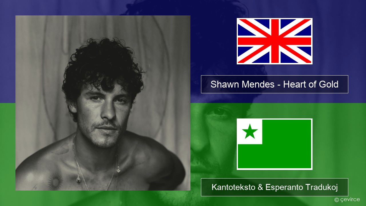 Shawn Mendes – Heart of Gold La angla Kantoteksto & Esperanto Tradukoj