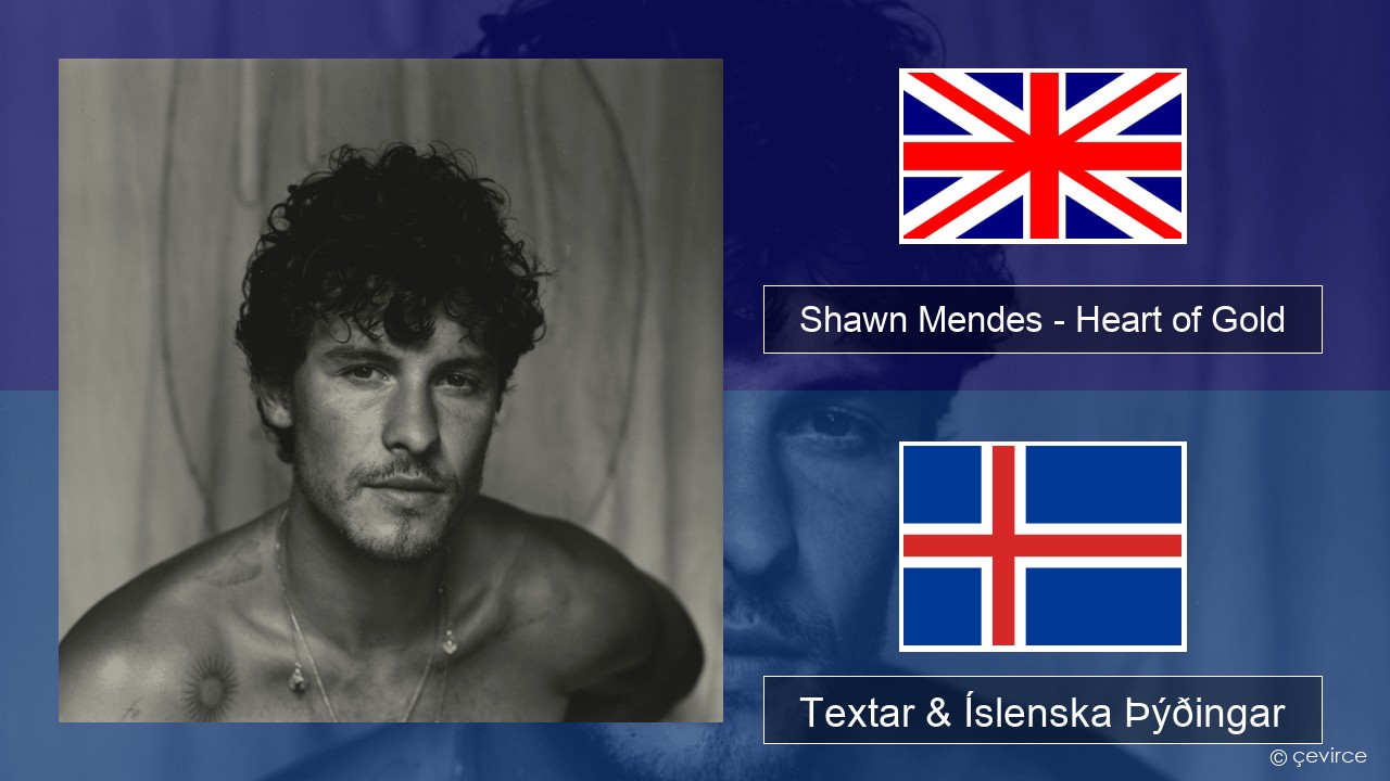 Shawn Mendes – Heart of Gold Íslenska Textar & Íslenska Þýðingar