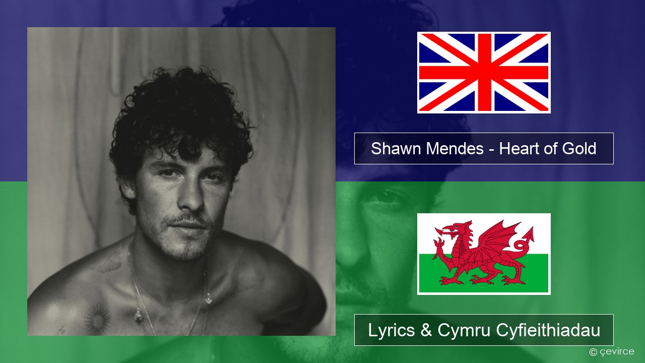 Shawn Mendes – Heart of Gold Saesneg Lyrics & Cymru Cyfieithiadau