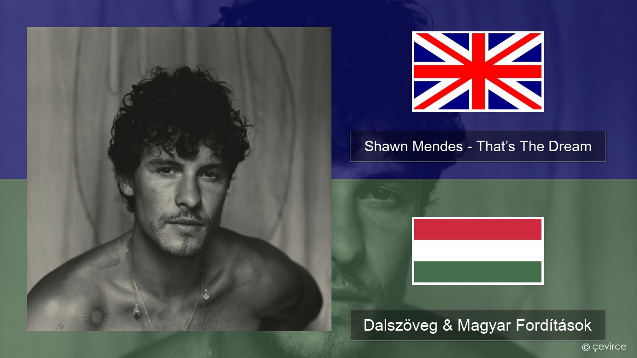 Shawn Mendes – That’s The Dream Magyar Dalszöveg & Magyar Fordítások