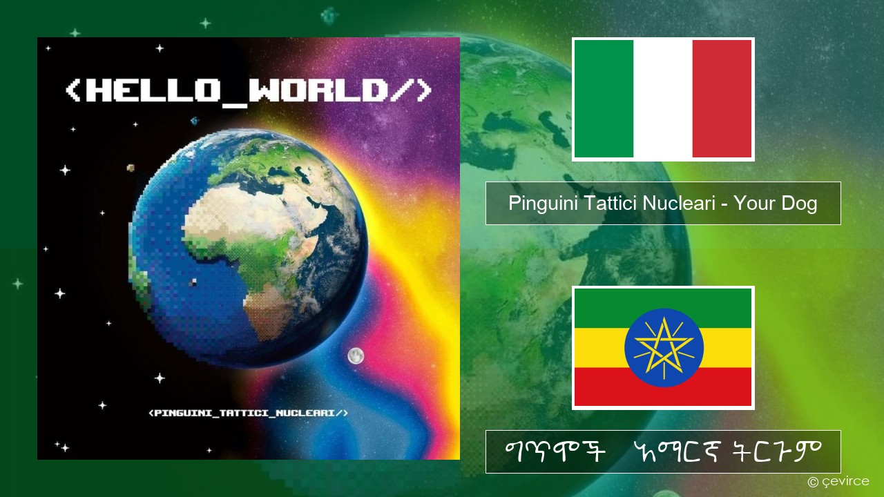 Pinguini Tattici Nucleari – Your Dog ኢጣሊያንኛ ግጥሞች & አማርኛ ትርጉም