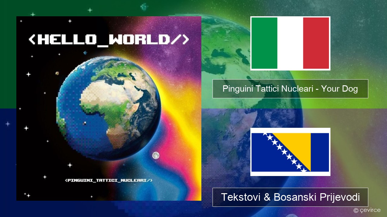 Pinguini Tattici Nucleari – Your Dog Italijanski Tekstovi & Bosanski Prijevodi