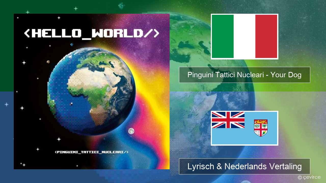 Pinguini Tattici Nucleari – Your Dog Italiaans Lyrisch & Nederlands Vertaling