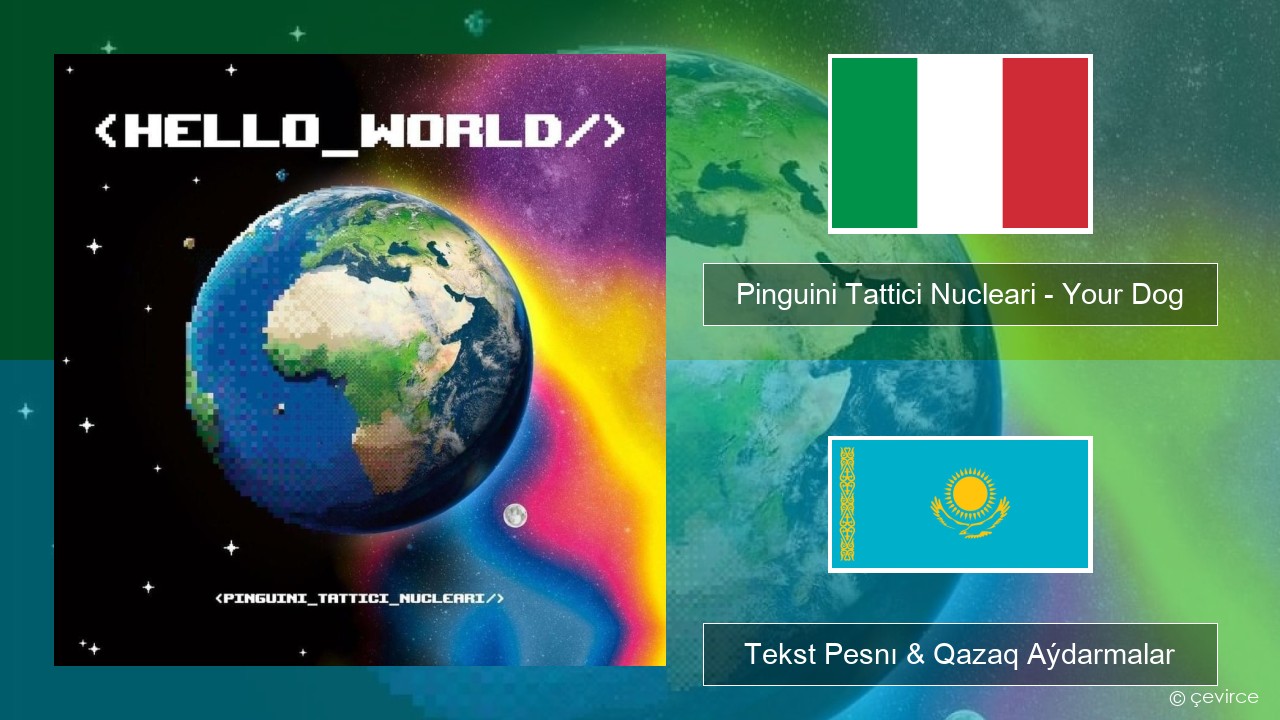 Pinguini Tattici Nucleari – Your Dog Italán Tekst Pesnı & Qazaq (latyn) Aýdarmalar